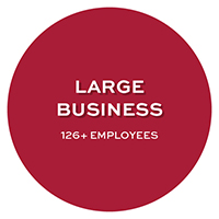 Large (125+ Employees)